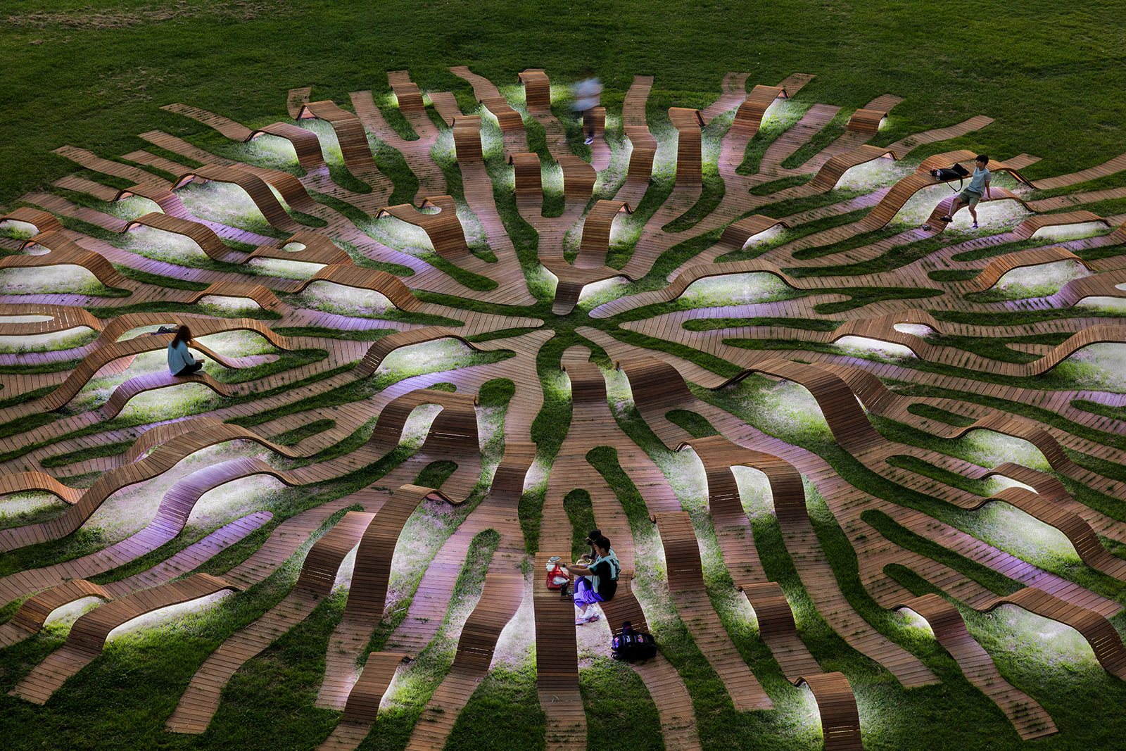 La “Root Bench” di Seul: le radici di legno che abbracciano il parco